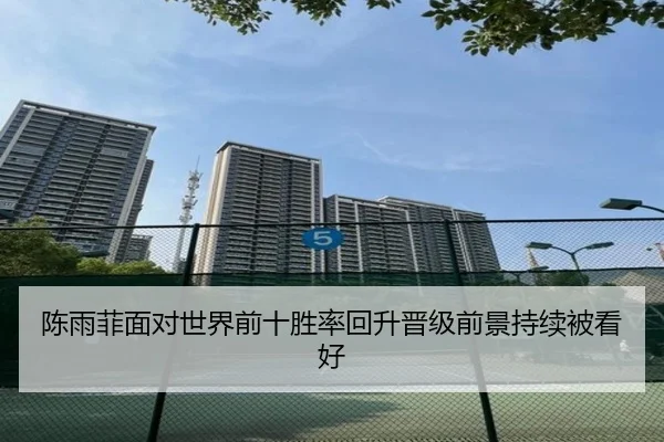 陈雨菲面对世界前十胜率回升晋级前景持续被看好